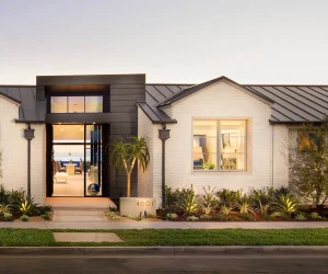 CLIENT REVIEWS 1585 x 710